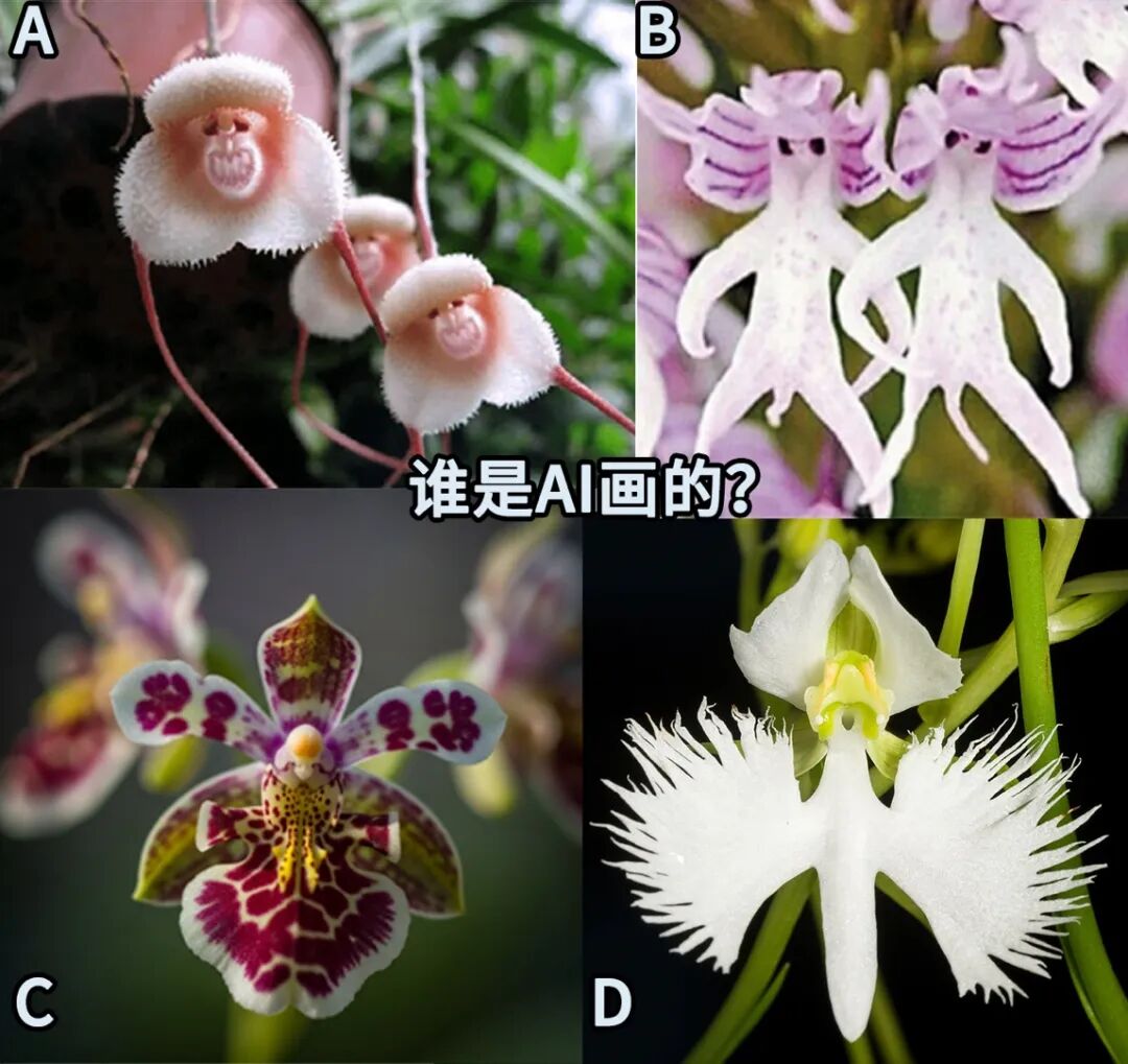 图(tú)片(piàn)