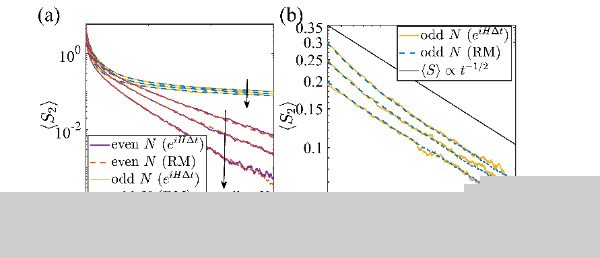 北京大学进藤龙一课题组与合作者发现描述存在测量的量子动力学的普适随机方程